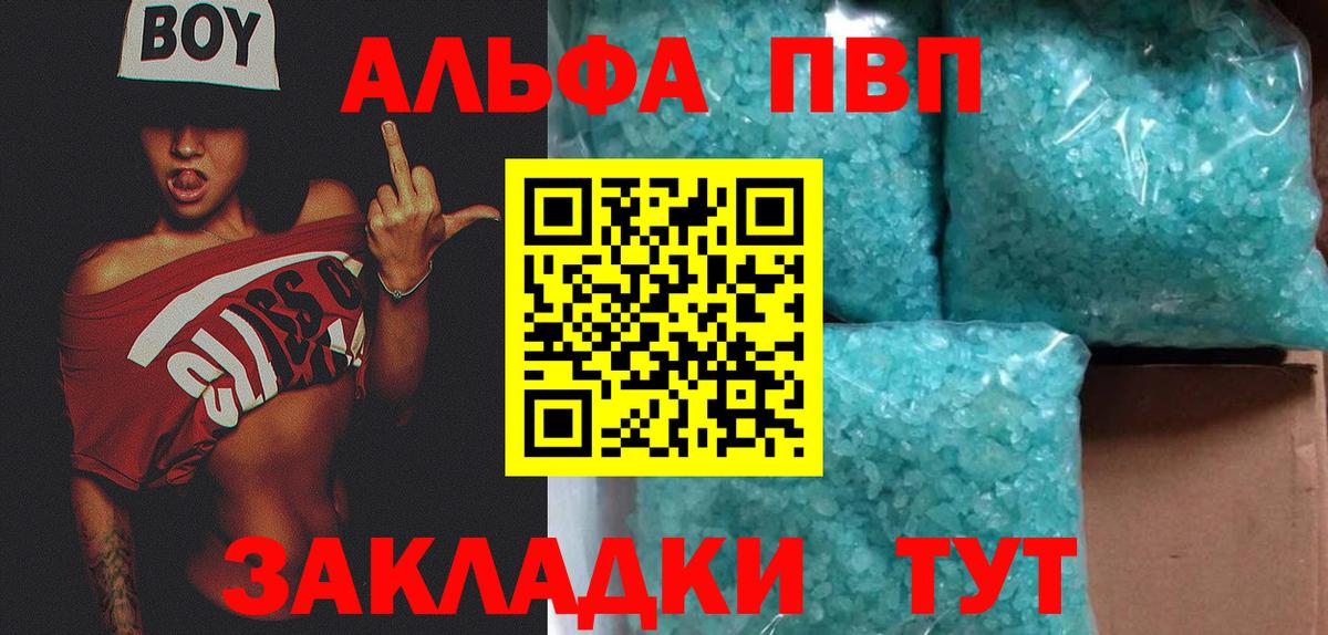 A PVP СК Новокубанск