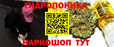 герыч Гатчина