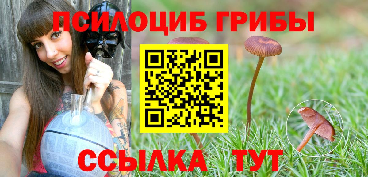 Новокубанск  Псилоцибиновые грибы ЛСД  Галлюциногенные грибы Psilocybine cubensis  Вход с VPN 