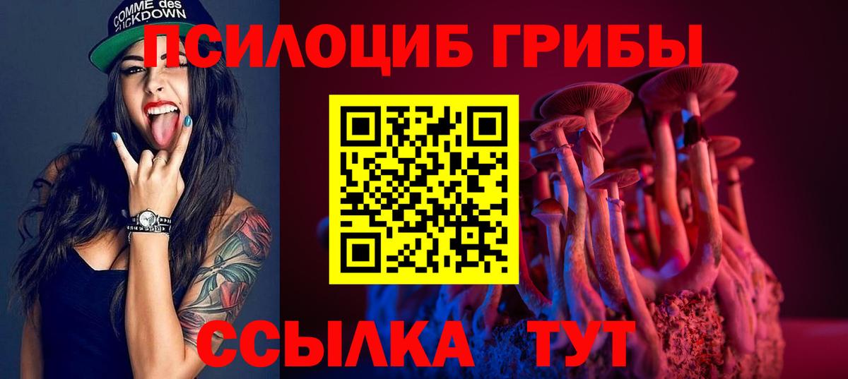 продажа наркотиков  Новокубанск  Галлюциногенные грибы мицелий 