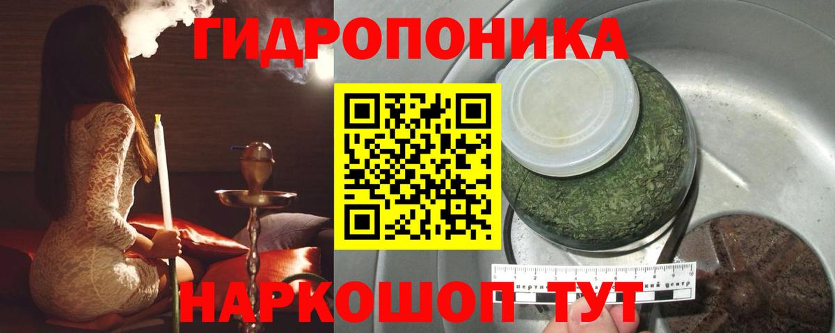 Бошки Шишки тримм Новокубанск